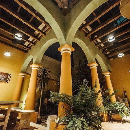 Snail Bed & Breakfast (Adults Only) San Cristóbal de Las Casas Exterior foto