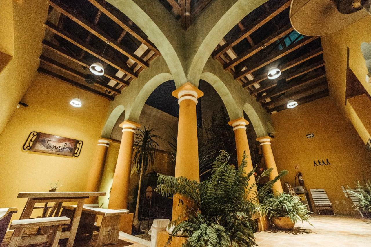 Snail Bed & Breakfast (Adults Only) San Cristóbal de Las Casas Exterior foto