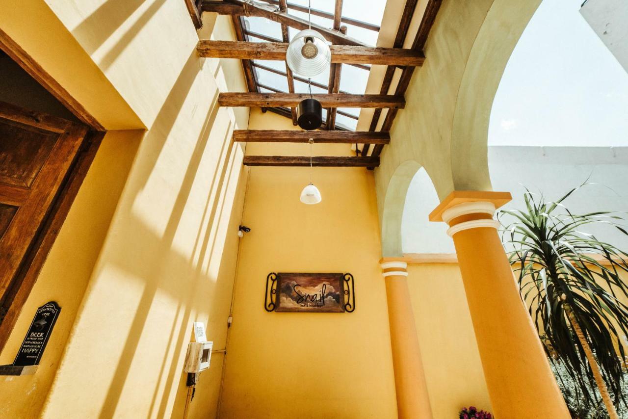 Snail Bed & Breakfast (Adults Only) San Cristóbal de Las Casas Exterior foto