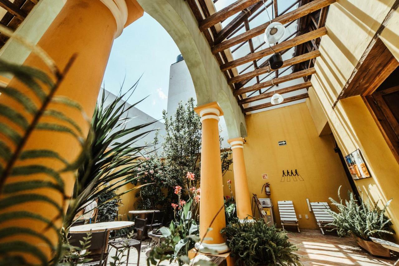 Snail Bed & Breakfast (Adults Only) San Cristóbal de Las Casas Exterior foto