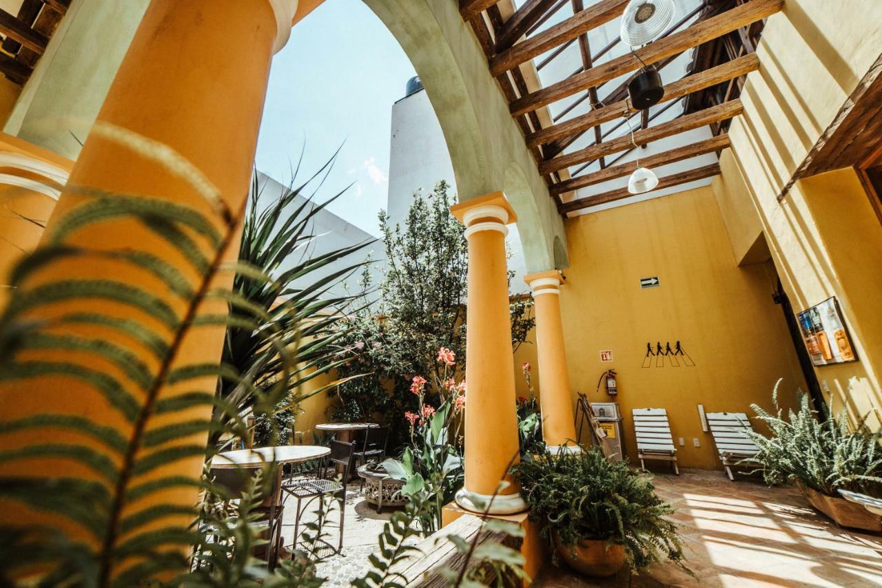Snail Bed & Breakfast (Adults Only) San Cristóbal de Las Casas Exterior foto